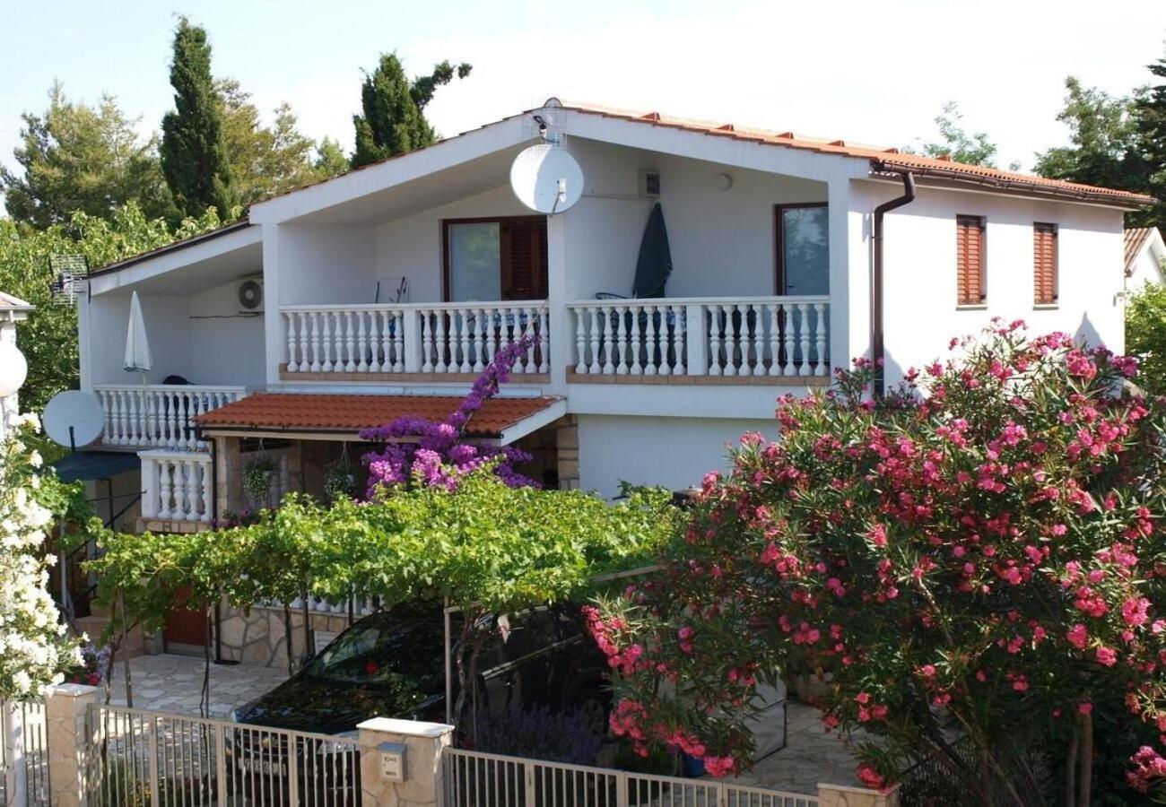 Apartman Dobri - 500m From *